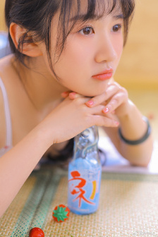 疯狂的蠢贼
